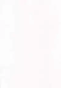 (C93) [L.G.C. (Rib:y(uhki))] Giji Renjouteki Kaiyu Ryouhou (Fate/Grand Order)