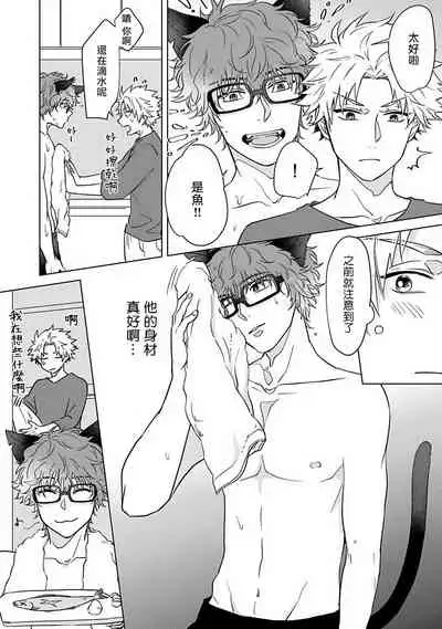 Fukurou no Koiwazurai | 猫头鹰的相思病