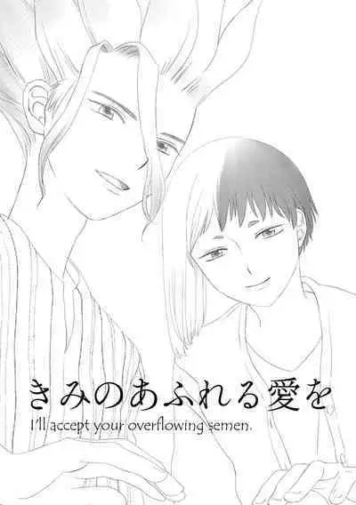 Kimi no Afureru Ai o