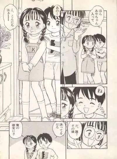 Shin Bishoujo Shoukougun 4 Houou hen