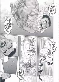 [Gengoroh Tagame][田龟源五郎] Shirogane-no-Hana The Silver Flower vol.2[银之华] [Chinese]