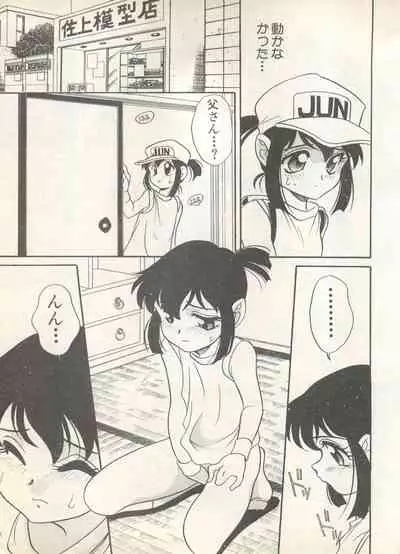 Shin Bishoujo Shoukougun 4 Houou hen