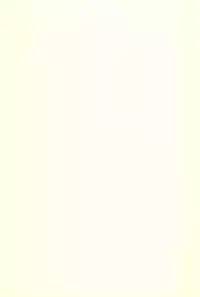 (Puniket 10) [Rtou (demag)] Nakayoshi (Tottoko Hamtaro)