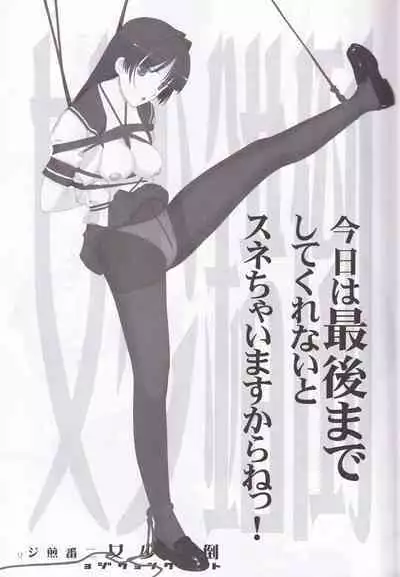 tousaku syojo 2bansenji