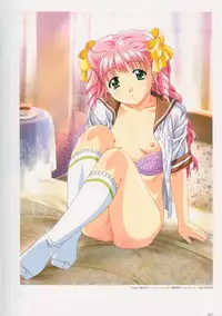 SECRET LOVERS ～MINASHIKA WORKS OFFICIAL EDITION～