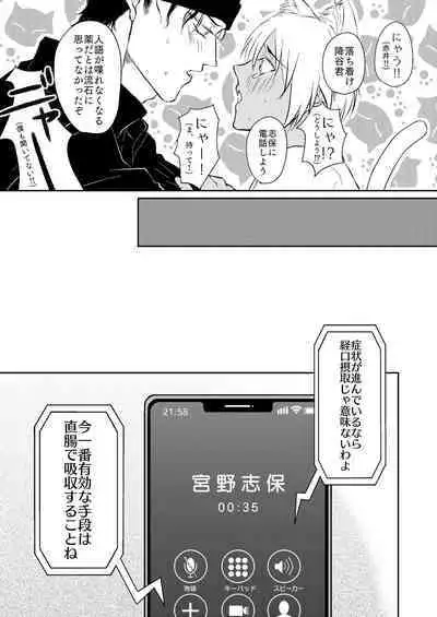 DON'T CRY MY KITTY!!