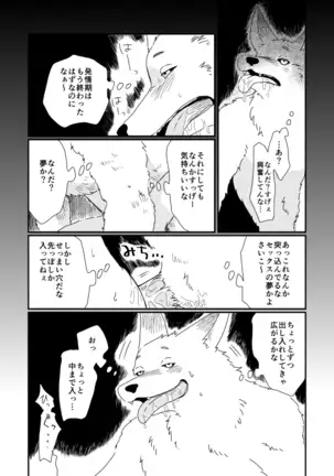 Creative BL: Beastman × Human