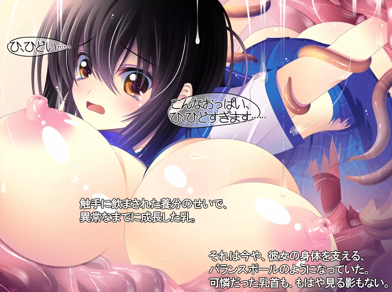 yabure, bakunyu chochichi naedoko ni, benki ni Daraku To sa reru hiroin!~ Hime ○ setsuna ~