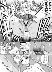 [Black Dog (Kuroinu Juu)] THE GRATEFUL DEAD (Bishoujo Senshi Sailor Moon) [2003-09-21]