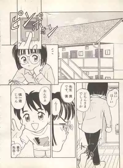 Shin Bishoujo Shoukougun 4 Houou hen