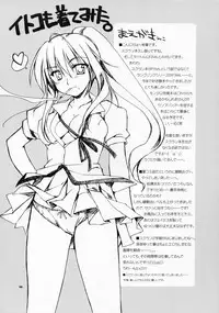 [Akabei Soft] Runbling School Final! Vol. 009 (School Rumble)