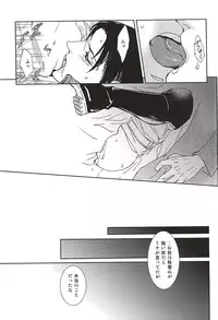 (SPARK10) [sable. (Sagawa Miku)] Collector (Shingeki no Kyojin)