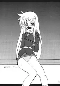 [Thirty Saver Street 2D Shooting] Storage Ignition (Mahou Shoujo Lyrical Nanoha / Magical Girl Lyrical Nanoha)