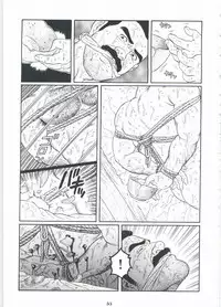 [Gengoroh Tagame][田龟源五郎] Shirogane-no-Hana The Silver Flower vol.2[银之华] [Chinese]