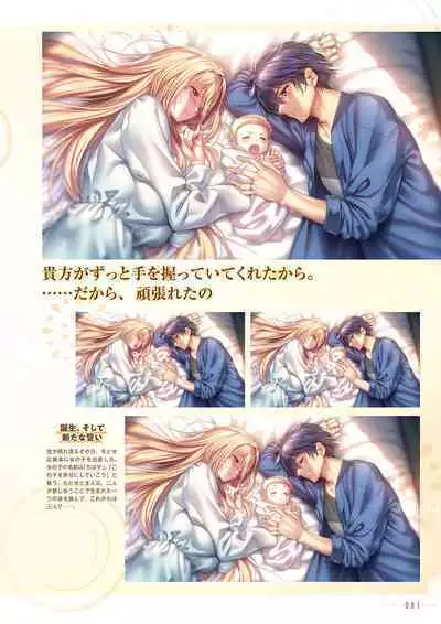 Amakano 2+ Visual Fan Book