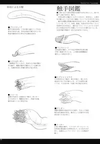 (COMITIA95) [SHIS (Z-ton)] LIMB LEGION