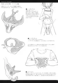 (COMITIA95) [SHIS (Z-ton)] LIMB LEGION