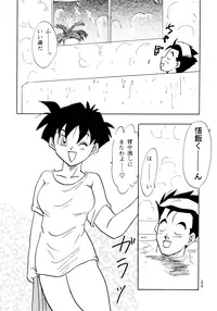 (C49) [Chirigami Goya, Fusuma Goten (Shouji Haruzo)] Z (Dragon Ball Z)