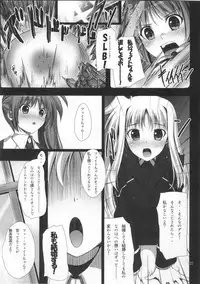(C80) [IV VA SHIN (Mikuni Mizuki) Home Sweet Home～Fate hen～ (Mahou Shoujo Lyrical Nanoha [Magical Girl Lyrical Nanoha])