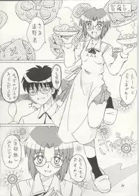 (C63) [KUROHIGE (Shinonome Tarou)] Yorihime (Tsukihime)