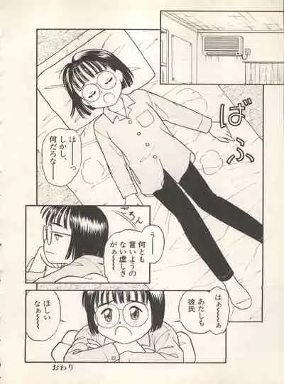 Shin Bishoujo Shoukougun 4 Houou hen