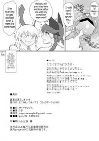 (C90) [Psychetangle (Keta)] Manatsu no Murashi Cat | Midsummer's Steamed Cat (Touhou Project) [English] [Erelzen]
