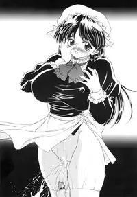 (C67) [Narimasuya] DOLLS DIARY -ReMix-