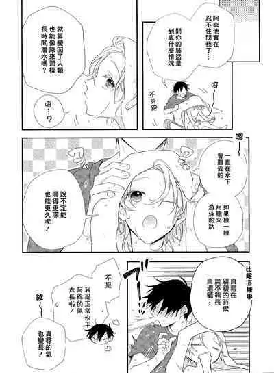 Shiokaze Mellow | 海风轻柔