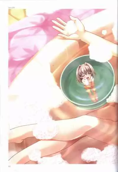 Concerto Note Visual Guide Book