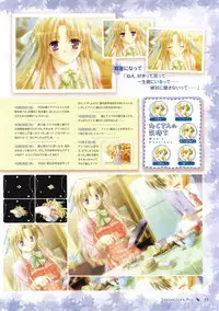 Canvas Visual Fan Book