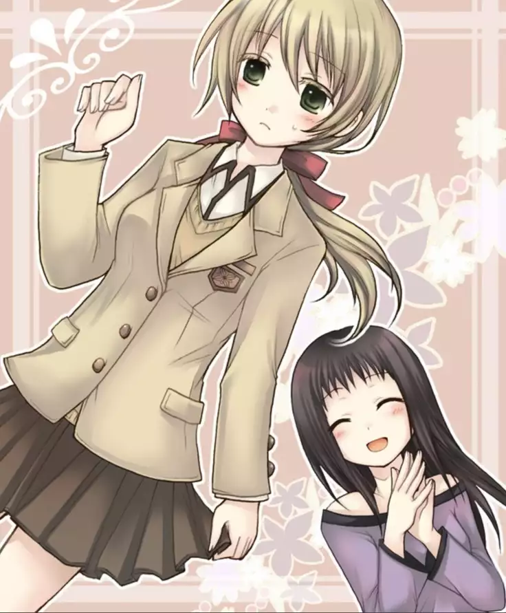 Okashi Assorted Packs - Unscented Taste