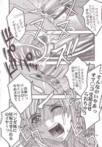 [St. Rio (Kitty)] ASHE OF JOY TOY (Final Fantasy XII)