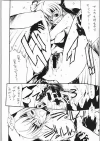 (C64) [nylon 100% (Nylon)] Private Beach! (Dead or Alive)