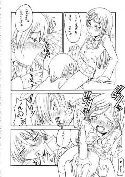 Futari wa Precure no Hon