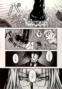 (C71) [DAMNDOG (Takamura Yuki)] The Moon is in the Gutter (Hellsing)