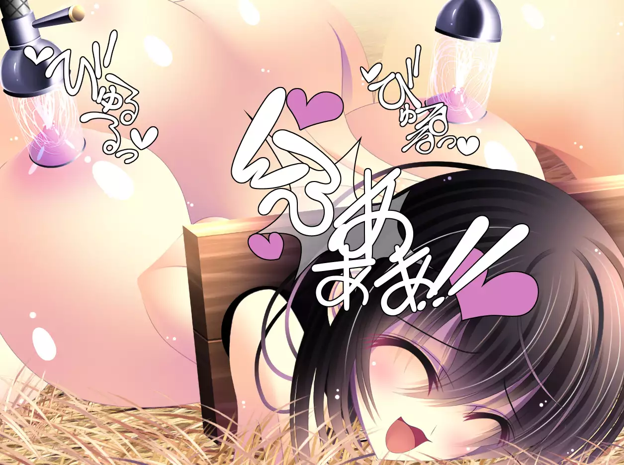 yabure, bakunyu chochichi naedoko ni, benki ni Daraku To sa reru hiroin!~ Hime ○ setsuna ~