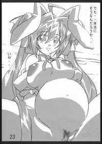 (C68) [Tetsunari Doujou (Tetsunari)] Akogare (Di Gi Charat)