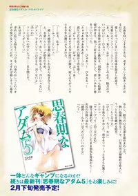 Shishunki na Adam Choi Netabare Guidebook (a bit spoilerish guidebook)