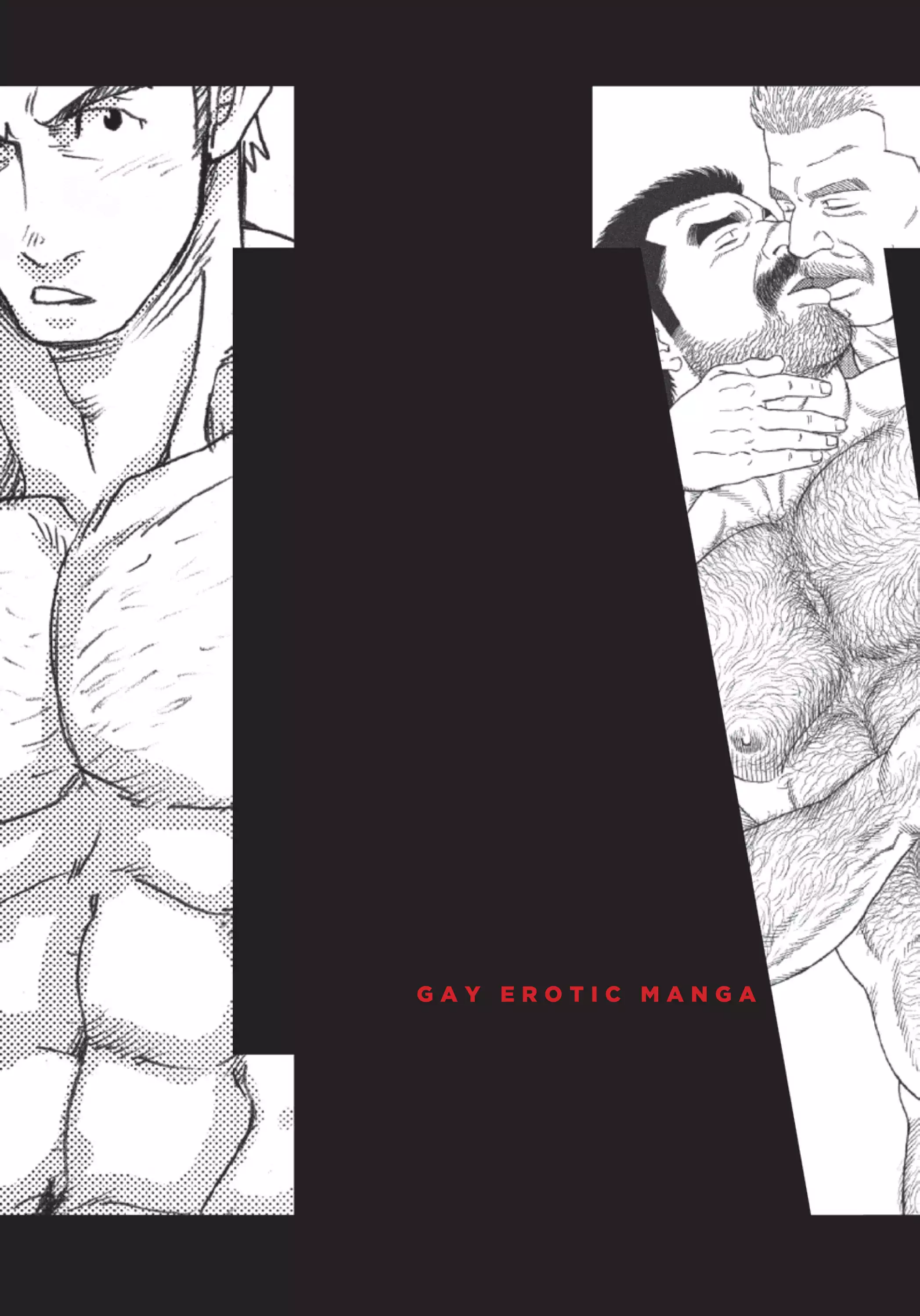 Massive - Gay Manga and the Men Who Make It