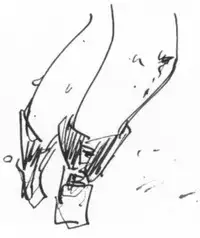 [B.Brand] Itame Mon 5 Let's Nupunupu no Maki (Black Cat)