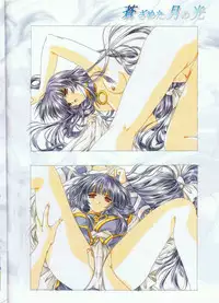 [スタジオエゴ] 蒼ざめた月の光 色指定原画集 Vol.1