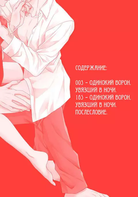 Samishii Karasu ga Oboreru Yoru