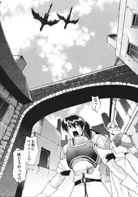 (C66) [Shuudan Bouryoku (Various)] File/12 Record of Aldelayd - EXHIBITION DX4