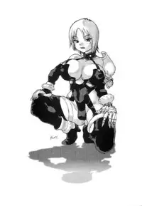 (C61) [From Japan (Aki Kyouma)] FIGHTERS GIGAMIX FGM Vol.14 (Dead or Alive)