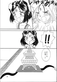 [Iwasaki Seihonsho] Arigataki Shiawase Fukushiki 2 (Ah! My Goddess)