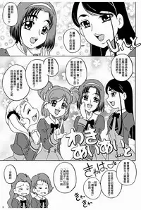 (C74) [Sakusakusakuchan (Yoroshiku Tarou)] Dokkiri! - Are Gena Debut Sengen (Yes! Precure5 Go Go!) [Chinese] [靴下汉化组 x 臭鼬娘漢化組]