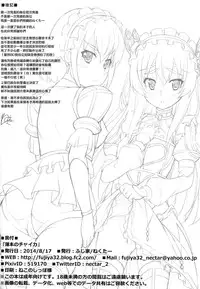 (C86) [Fujiya (Nectar)] Usui hon no Chaika (Hitsugi no Chaika) [Chinese] [塔布里斯個人漢化]
