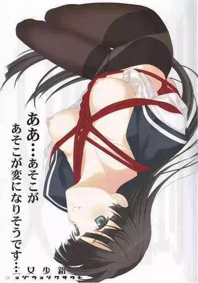 tousaku syojo 2bansenji