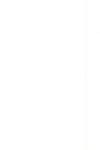 (C97) [sutokun (suto)] Futa #01 [Chinese] [白杨汉化组]