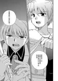 [Cool Palace (Suzumiya Kazuki)] LIFT THE WINGS (Aiyoku no Eustia) [Chinese] [靴下汉化组] [Digital]